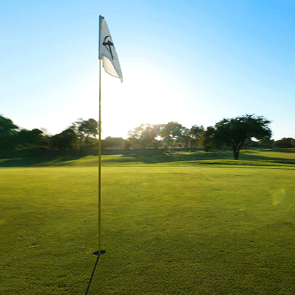 course Tours Icon